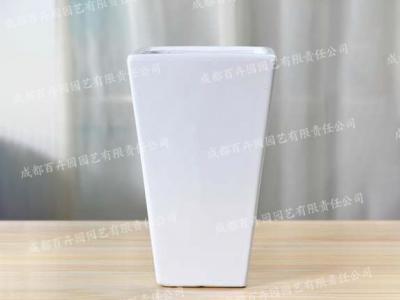  成都办公室花卉租赁专用陶瓷花盆