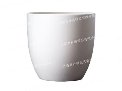  成都室内植物租赁专用花盆