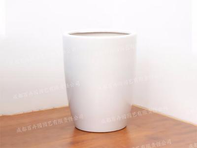  成都室内植物租赁专用花盆