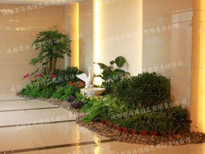 成都花卉植物租赁组景造型