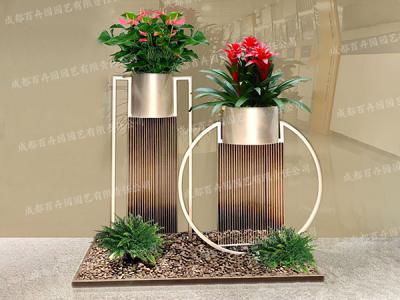 成都花卉绿植租赁组景造型