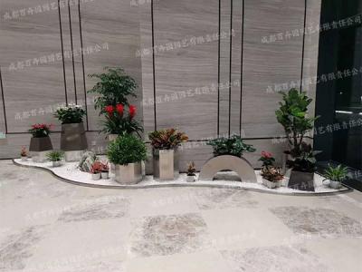 成都绿植花卉租赁组景造型