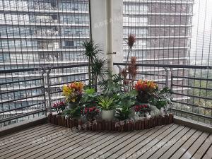 组景造型绿植租摆方案定制