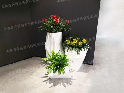 玻璃钢组景花卉绿植租赁