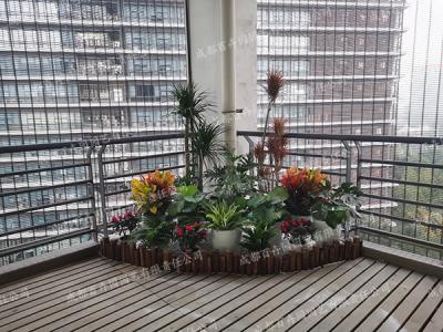 组景造型绿植租摆方案定制