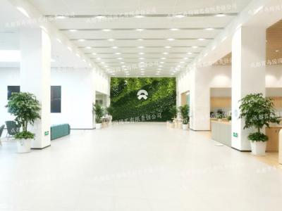  汽车4S店植物租赁方案