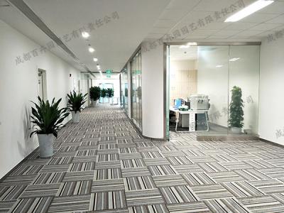  成都办公室走廊植物租赁方案