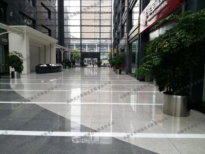  写字楼植物租赁方案