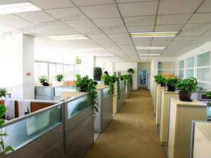  成都办公室财务室植物租摆方案
