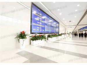  写字楼植物租赁方案