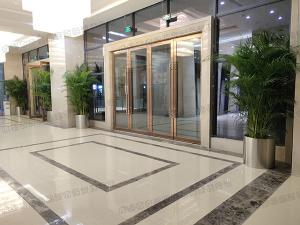  写字楼大厅植物租赁方案