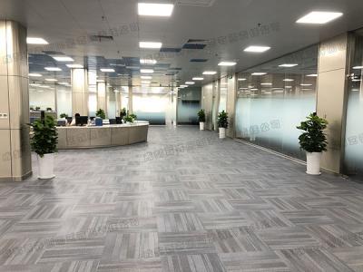  成都办公室公共区域植物租摆方案