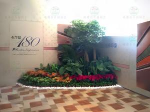 成都植物租赁造型组景