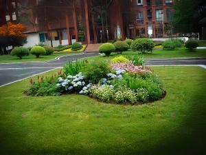 成都花境景观设计施工