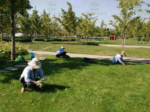 成都园林绿化养护