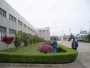 成都园林绿化养护 