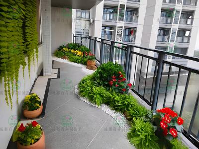 成都植物租赁造型组景