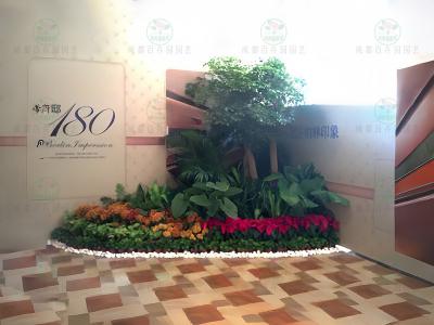 成都植物租赁造型组景