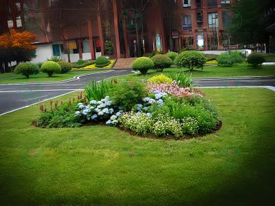 成都花境景观设计施工