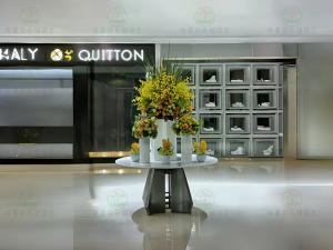 成都植物租赁-花艺插花定制