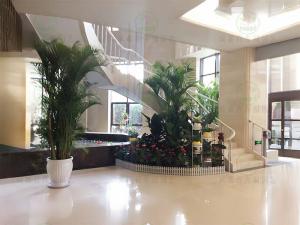  售楼部植物租赁方案