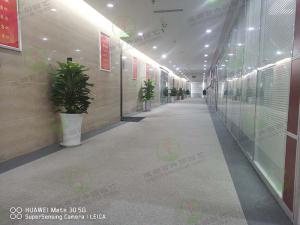  成都办公室植物租摆-某公司办公室植物租摆案例实景图