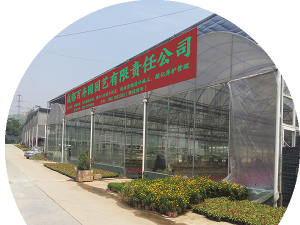 设有区域服务分点