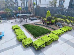 庭院花园设计与施工