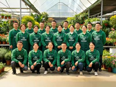 多支专项专业团队，服务更精细化