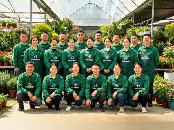 多支专项专业团队，服务更精细化